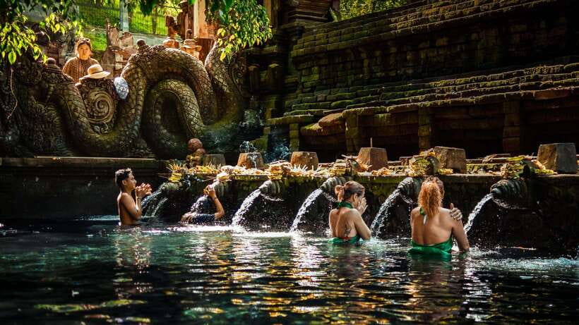 Bali: Private Custom Tours with Chauffeur - What the chauffeur service adds