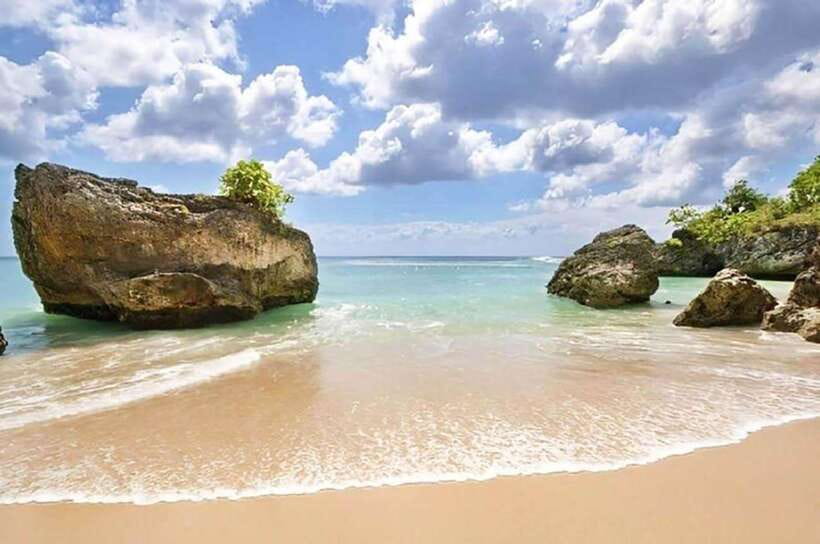 Bali: Private Custom Tours with Chauffeur - The car, pickup areas, and time on the road