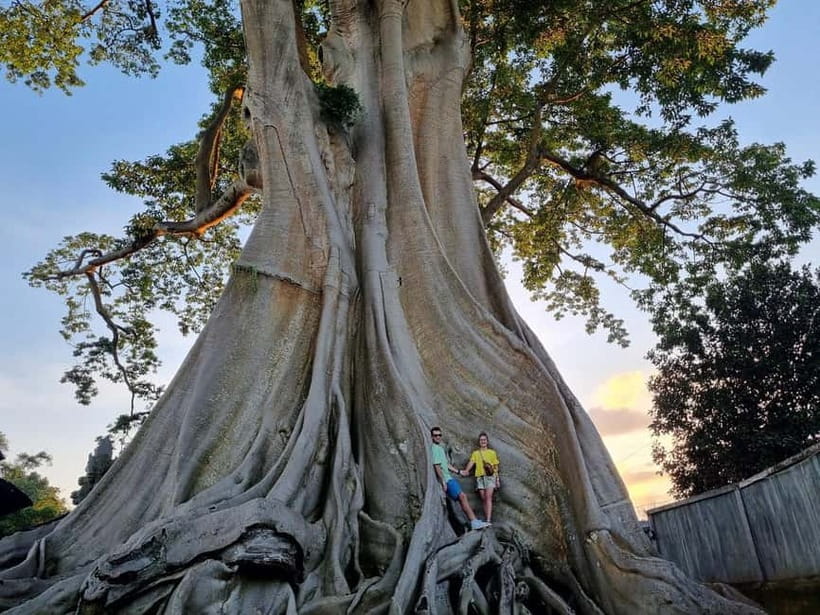Bali: Private Customizable Tour with Driver - Building a Better Day Before You Set Out