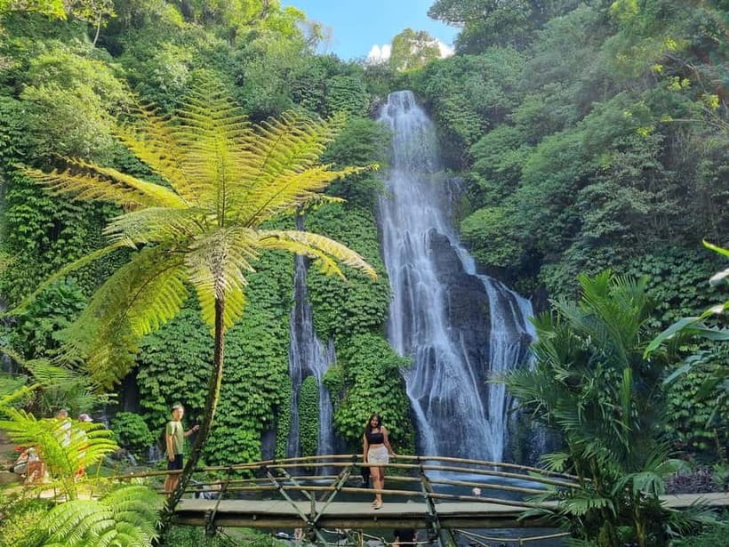 Bali: Private Customizable Tour with Driver - Meeting Your Driver at a Bali Hotel or Port
