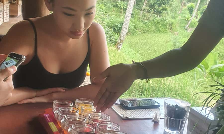 Bali: Temple Lake, Jungle Waterfall, Rice Field & Tanah Lot - Practical Advice for a Smoother Day