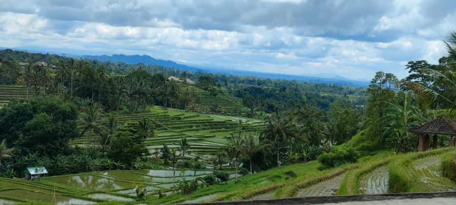 Bali: ubud costumize tour with private driver - Key points to know before booking