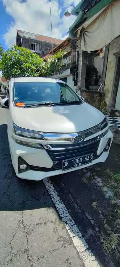 Bali: ubud costumize tour with private driver - A flexible way to see Ubud in one day