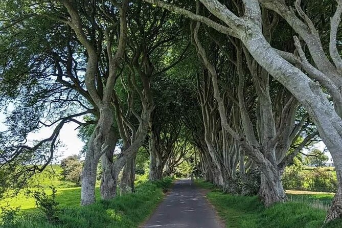 Belfast & Giants Causeway Luxury Mercedes Private Tour for 6 pax - Why This Private Tour Works for a Full Day