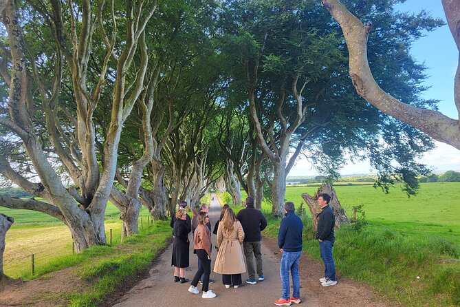 Belfast & Giants Causeway Luxury Mercedes Private Tour for 6 pax - Building a Better Day Around the Eight-Hour Schedule