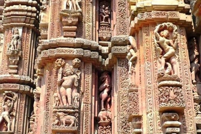 Bhubaneshwar city tour in a private car with professional guide - Rajarani Temple and its red-gold stone