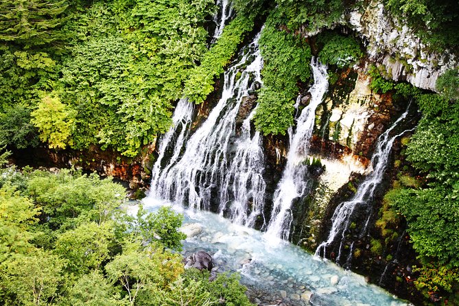 [Biei/Furano] One-day sightseeing by private car! - Why this private Sapporo day trip makes sense