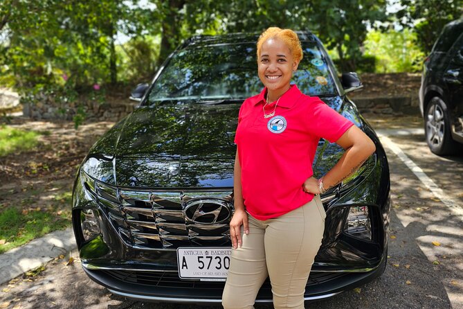 Biggvee Chauffeur service - How the island tour can work