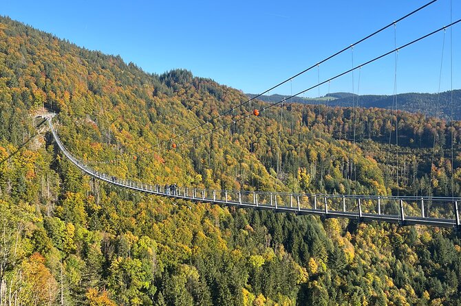 Black Forest Germany Private Car Tour for 1 to 6 Persons - Belchen cable car and high mountain views