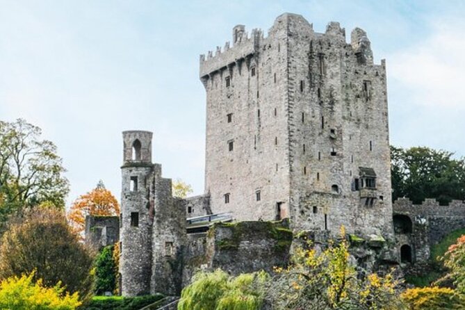 Blarney Castle and The Rock of Cashel with Private Chauffeur Tour - The Rock of Cashel: Ireland’s dramatic medieval stage