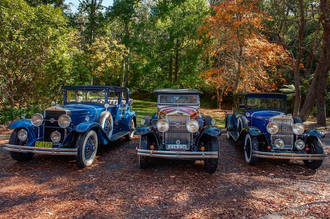 Blue Mountains Vintage Cadillac Tour with Local Guide - Echo Point and the Three Sisters