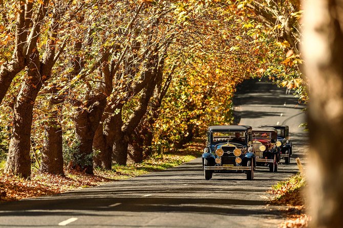 Blue Mountains Vintage Cadillac Tour with Local Guide - Leura Cascades brings the sound of water