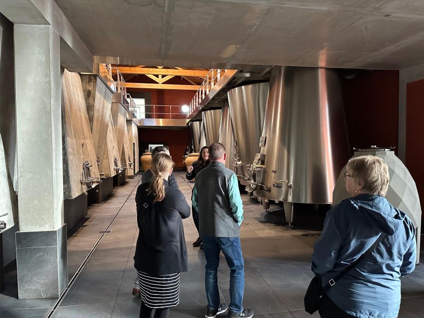 Bordeaux: Medoc tour in a small group (Luxury Mercedes EQV) - The first winery: start with the basics