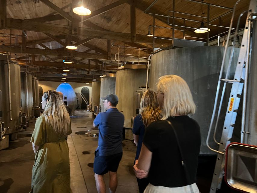 Bordeaux: Medoc tour in a small group (Luxury Mercedes EQV) - Saint-Julien, Pauillac, and the value of seeing the map