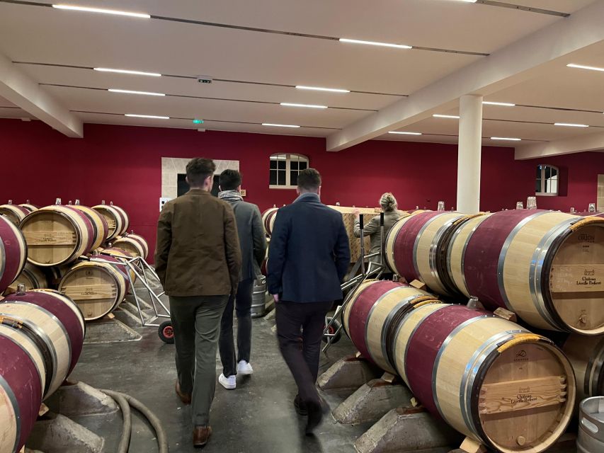 Bordeaux: Medoc tour in a small group (Luxury Mercedes EQV) - Who should book this Medoc tour?