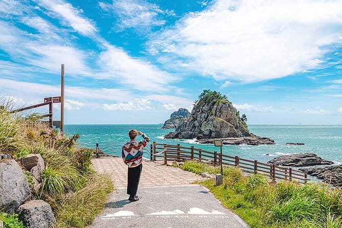 BTS Landmarks Private Car Tour in Busan with a Licensed Guide - Why this private Busan BTS tour works