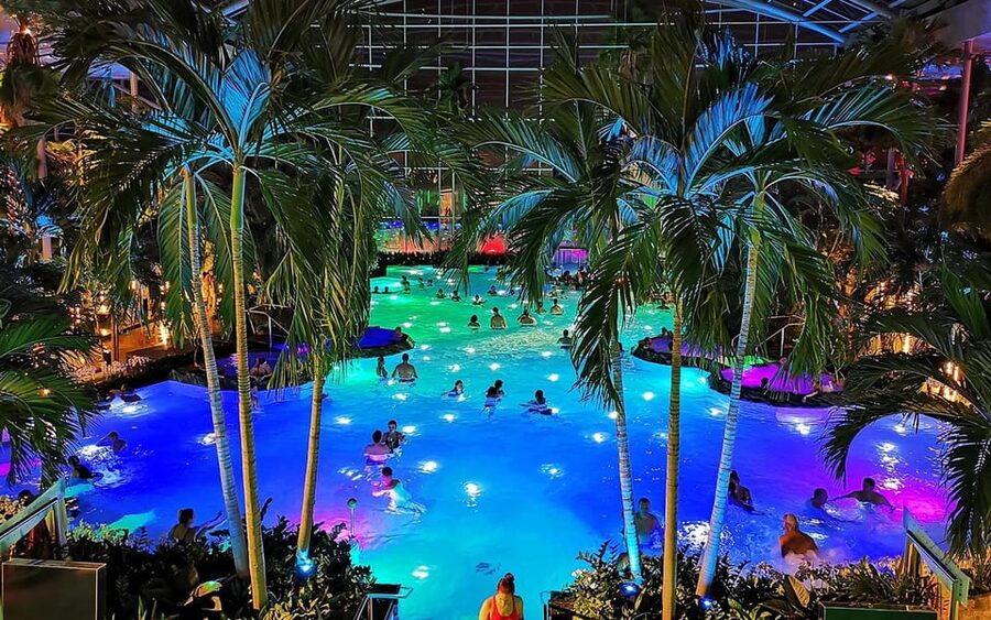 Bucharest: Therme Bucharest Spa Day with Luxury Transfer - Palm gardens, thermal water, and a tropical pause
