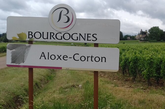 Burgundy Wine Lovers Day Tour with Private Driver - A Burgundy wine day built around your taste