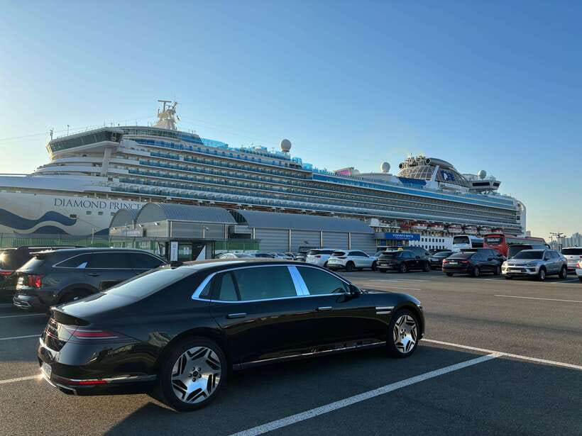 Busan: Private Car Charter Customized City Tour - Why a private car makes sense in spread-out Busan