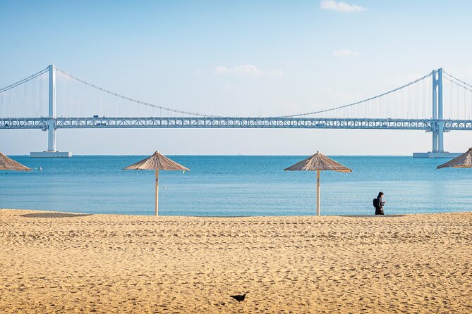 Busan Private Chauffeur Service with professional driver - What the driver does, and what the driver does not do