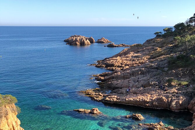 Cadaqués/Begur Private Luxury Tour Costa Brava by Mercedes Vogue - Key points to know