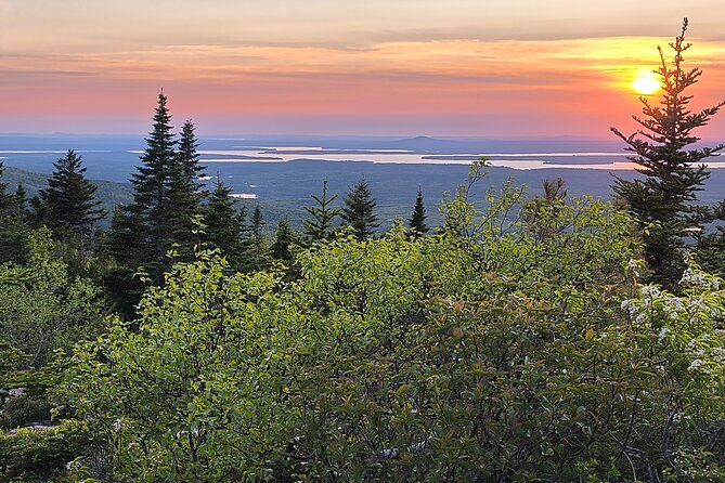 Cadillac Mountain Summit Tour in Acadia - Is $250 good value for four people?