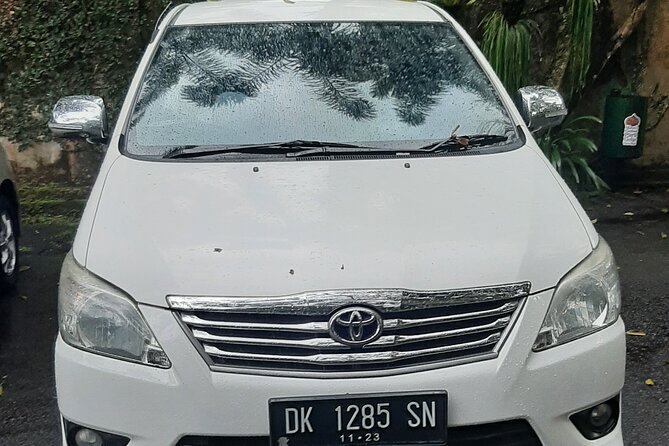 Candidasa Private Car with English Speaking Driver - Tegalalang Rice Terrace and the optional swing