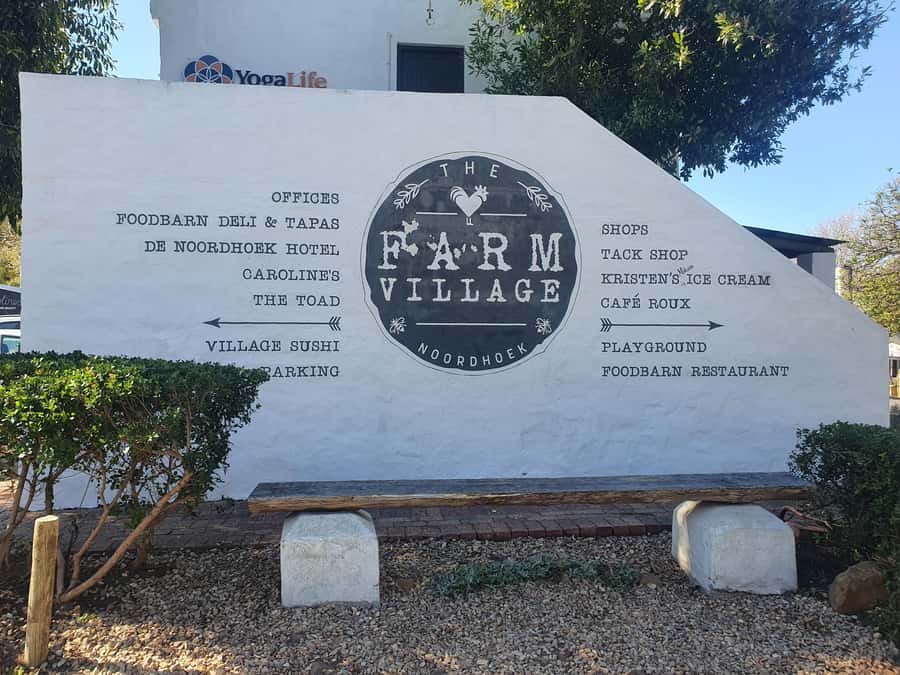 Cape Peninsula Full Day Tour In Private Car - Why this private Cape Peninsula day works