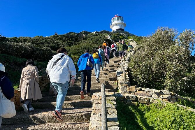 Cape Peninsula &Penguin Sightseeing in Private Car Full Day Tour - Cape of Good Hope adds history and rough seas