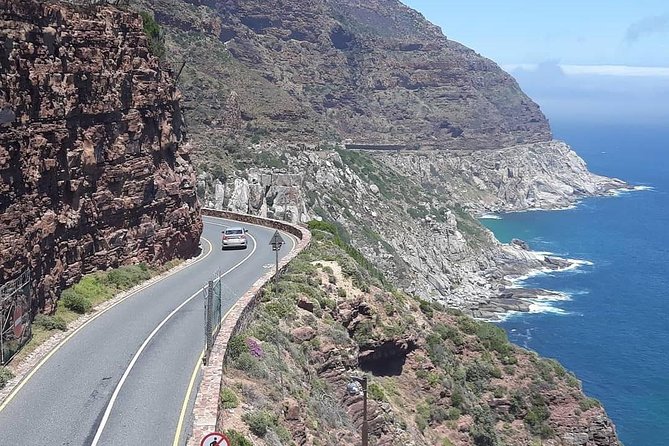 Cape Point, Boulder's Beach in Private Car Entrance Fees Included - Hout Bay and the optional seal excursion