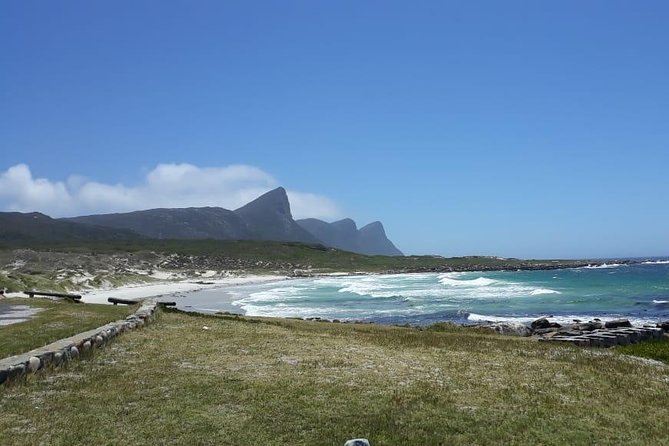 Cape Point, Boulder's Beach in Private Car Entrance Fees Included - Boulders Beach and the penguin colony