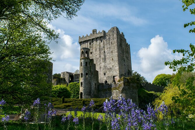 Chauffeur Blarney and Cork Private Day Tour from Dublin - A full-day route from Dublin to southern Ireland
