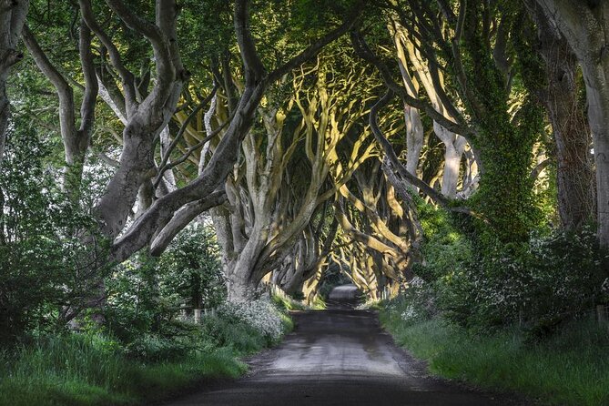 Chauffeur Giants Causeway & Belfast Private Day Tour From Dublin - Key points to know before booking