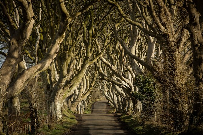 Chauffeur Giants Causeway & Belfast Private Day Tour From Dublin - Why the private price can make sense
