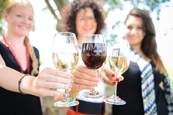 Chauffeured Adventure to Local San Diego Vineyards - Key points to know before booking