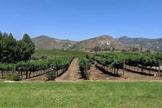 Chauffeured Adventure to Local San Diego Vineyards - Cordiano Winery pairs wine with views and Italian food