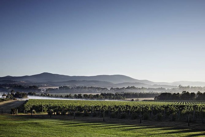 Chauffeured Cheese and Wine Tour with 3 Course Lunch - For 2 - The value of $1,072.28 for two