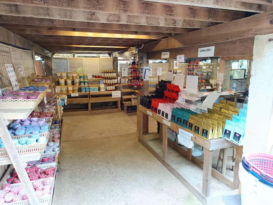 Chiang Mai: Doi Inthanon One-Day Tour with a Private Driver - Key points at a glance