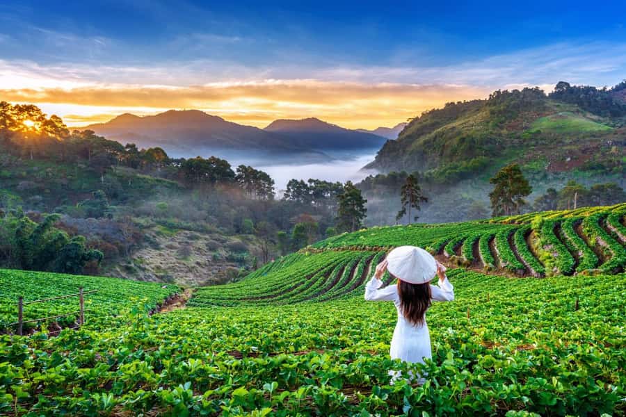 Chiang Mai: Full-Day Private Car Charter to Doi Ang Khang - Key points before you book
