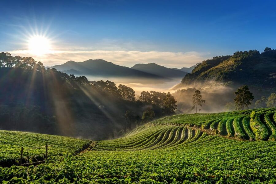 Chiang Mai: Full-Day Private Car Charter to Doi Ang Khang - Is $72 a fair price?