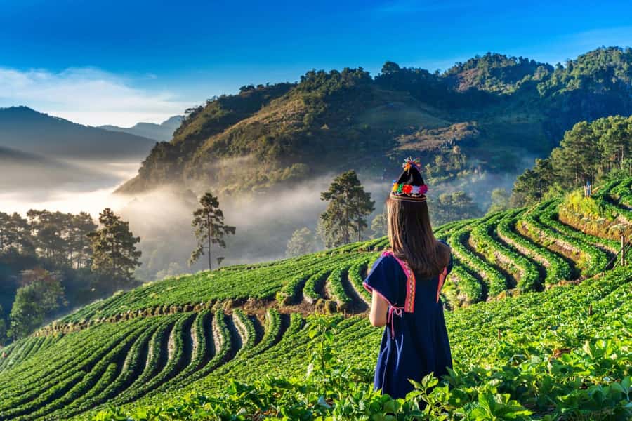 Chiang Mai: Full-Day Private Car Charter to Doi Ang Khang - Seven hours around Doi Ang Khang