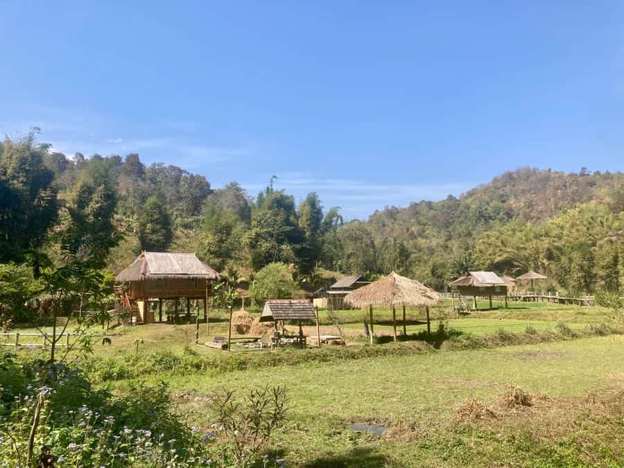 Chiangmai: Highlights Full-Day Tour with Private Driver - A big Chiang Mai day, from temple bells to Thailand’s highest mountain