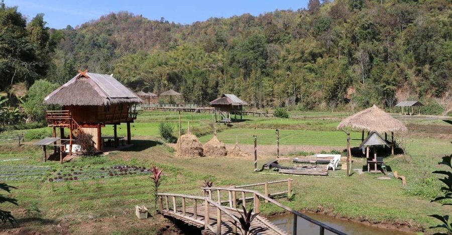 Chiangmai: Highlights Full-Day Tour with Private Driver - Wat Chedi Luang in the center of Chiang Mai