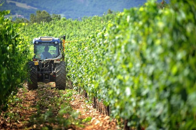 Chianti Vineyards Tours in Private Luxury Van from Florence - Key points to know before booking