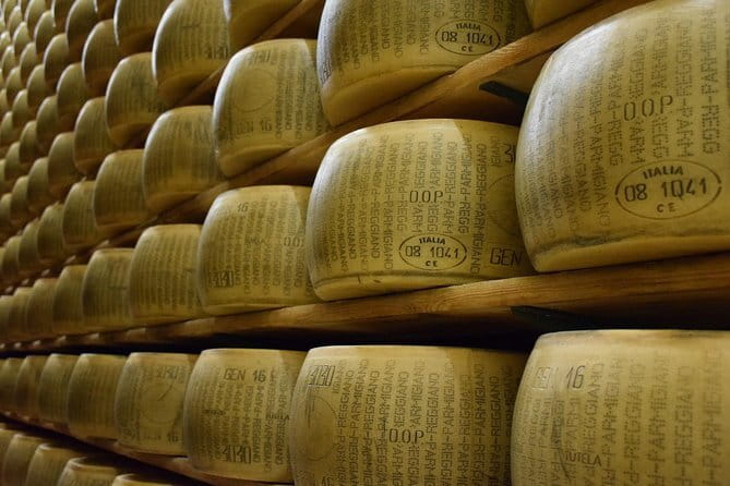Chianti Vineyards Tours in Private Luxury Van from Florence - Brogioni SAS brings a small-producer perspective