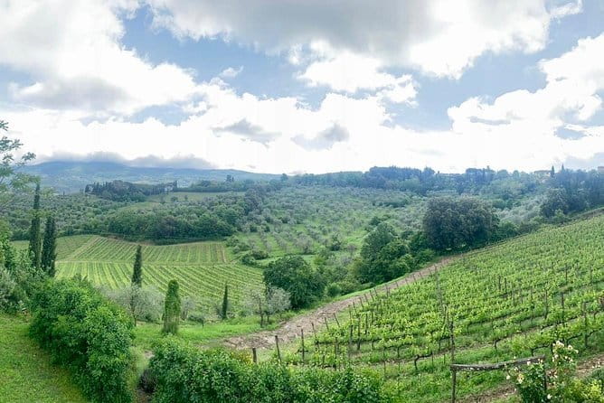 Chianti Vineyards Tours in Private Luxury Van from Florence - The Chiantigiana road is part of the experience