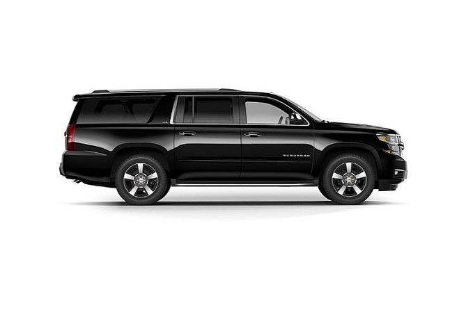 Chicago 4-Hour Sightseeing Transfer by Luxury SUV - Choosing your stops in downtown Chicago