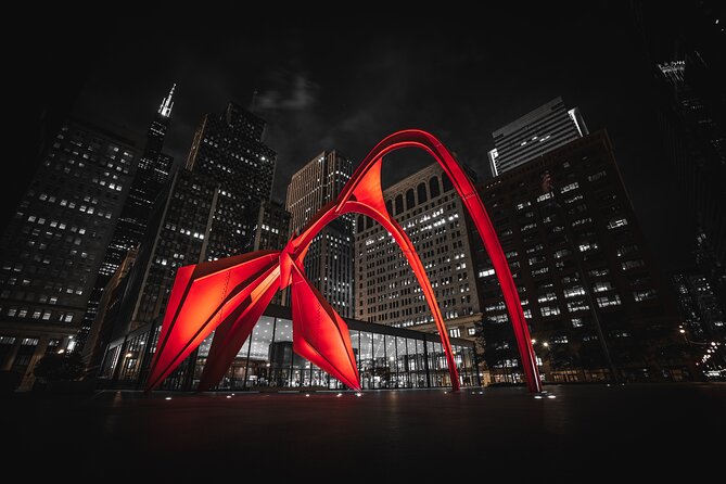 Chicago 4-Hour Sightseeing Transfer by Luxury SUV - Who will get the most from this service?