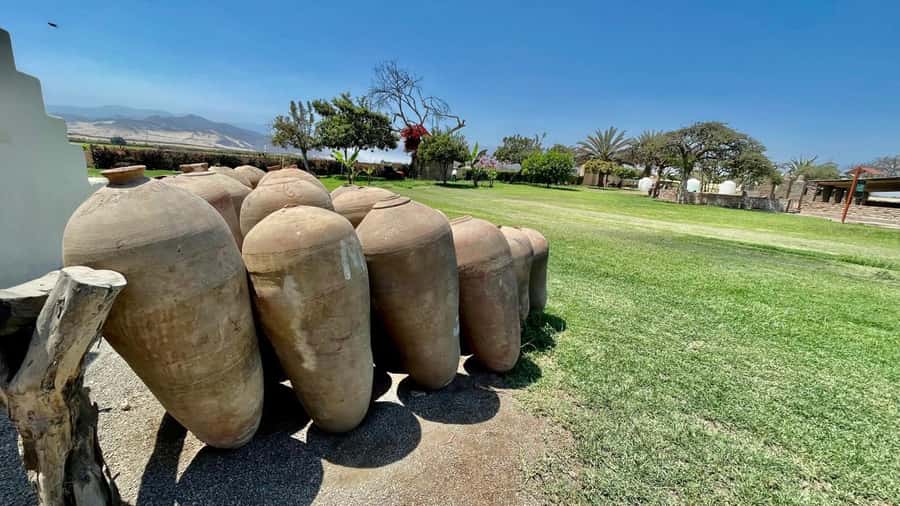 CITY TOUR ICA-HUACACHINA+BUGGIES IN PRIVATE CAR FROM PARACAS - What private service adds