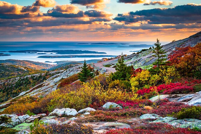 “Classic Acadia” Private Tour: Cadillac Mountain & Thunder Hole - Wild Gardens of Acadia adds a close look at local plants